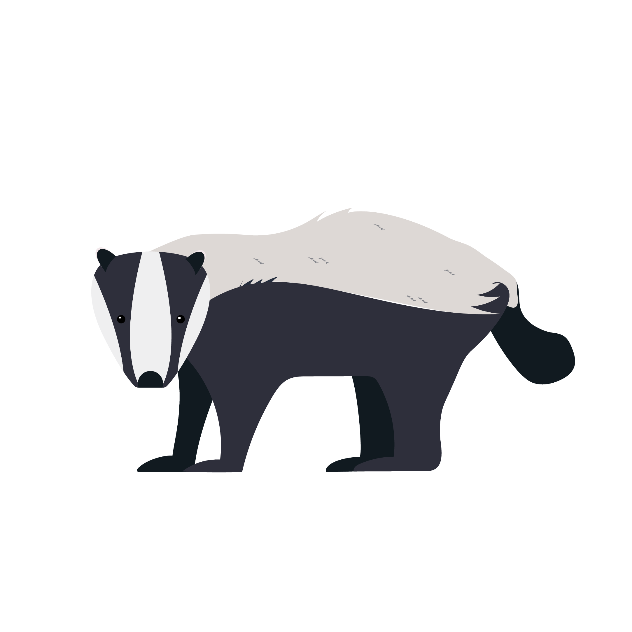 Badger Class