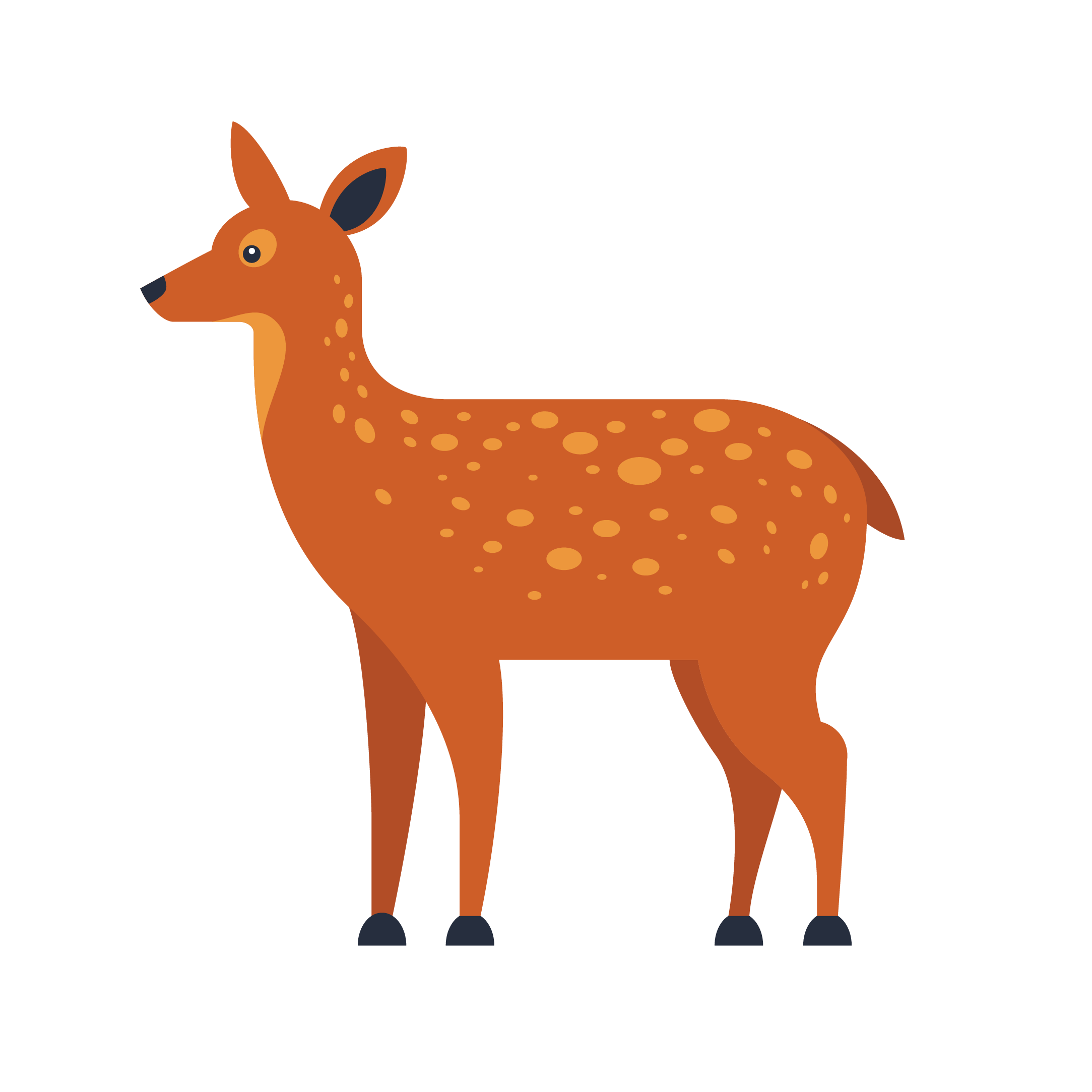 Deer Class