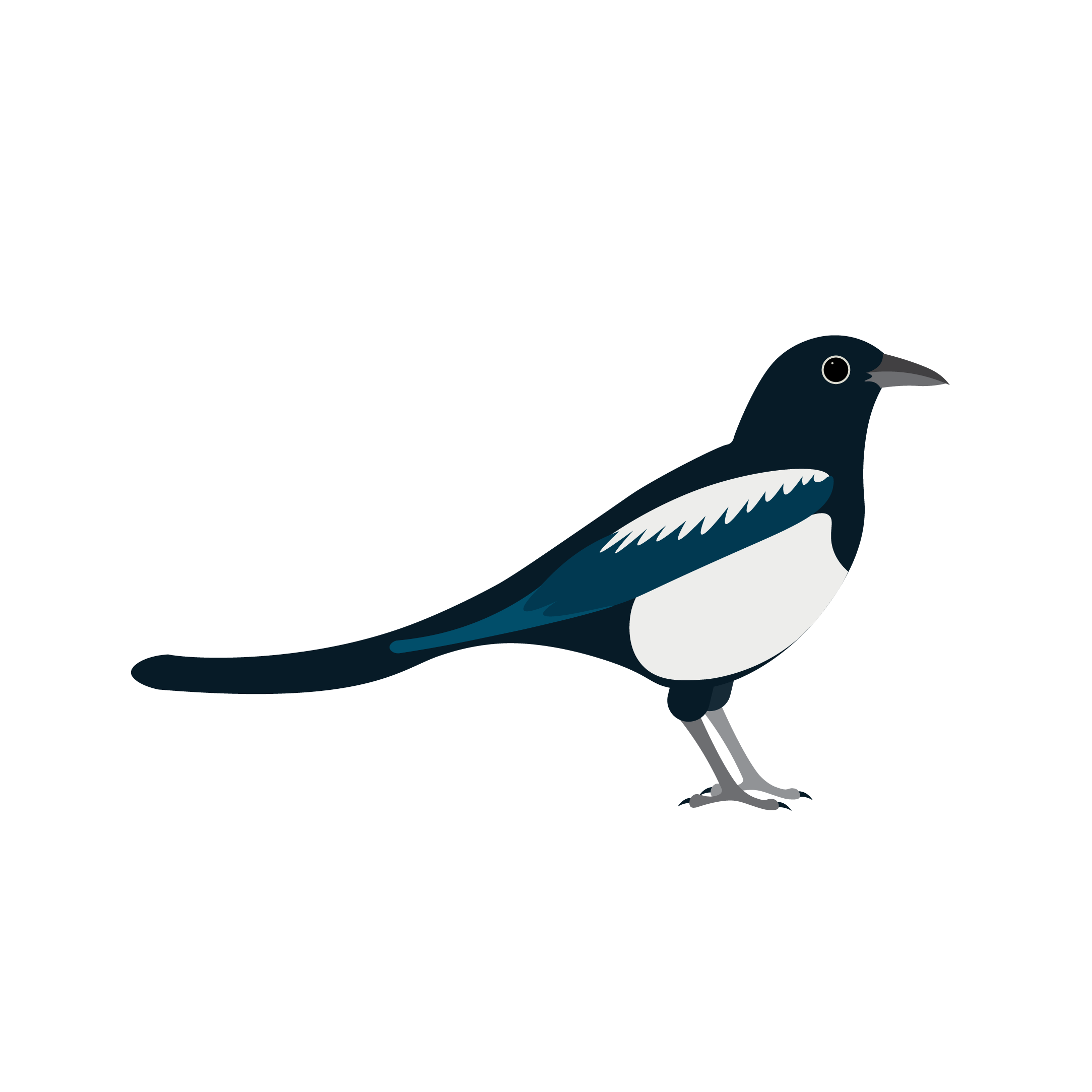 Magpie Class