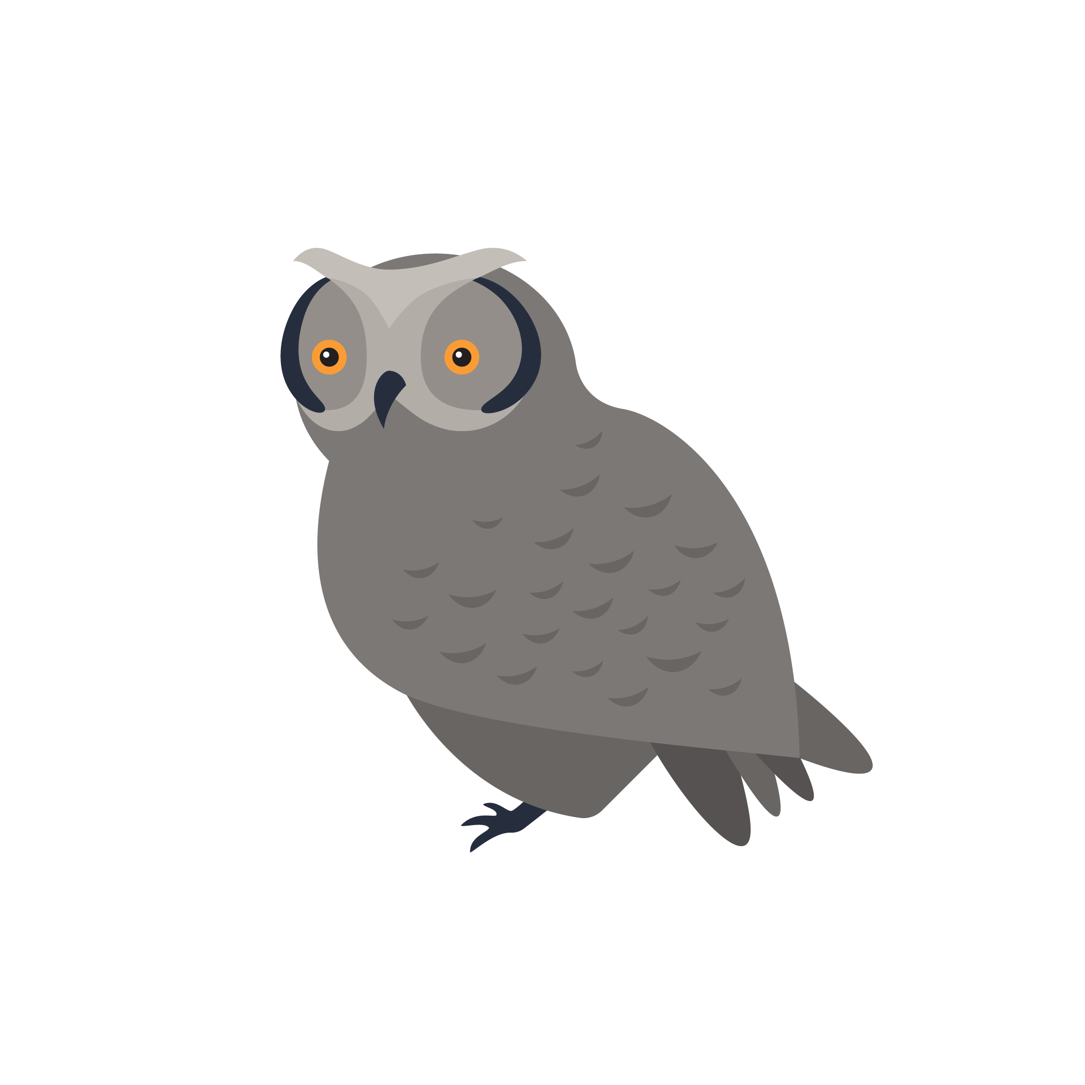 Owl Class