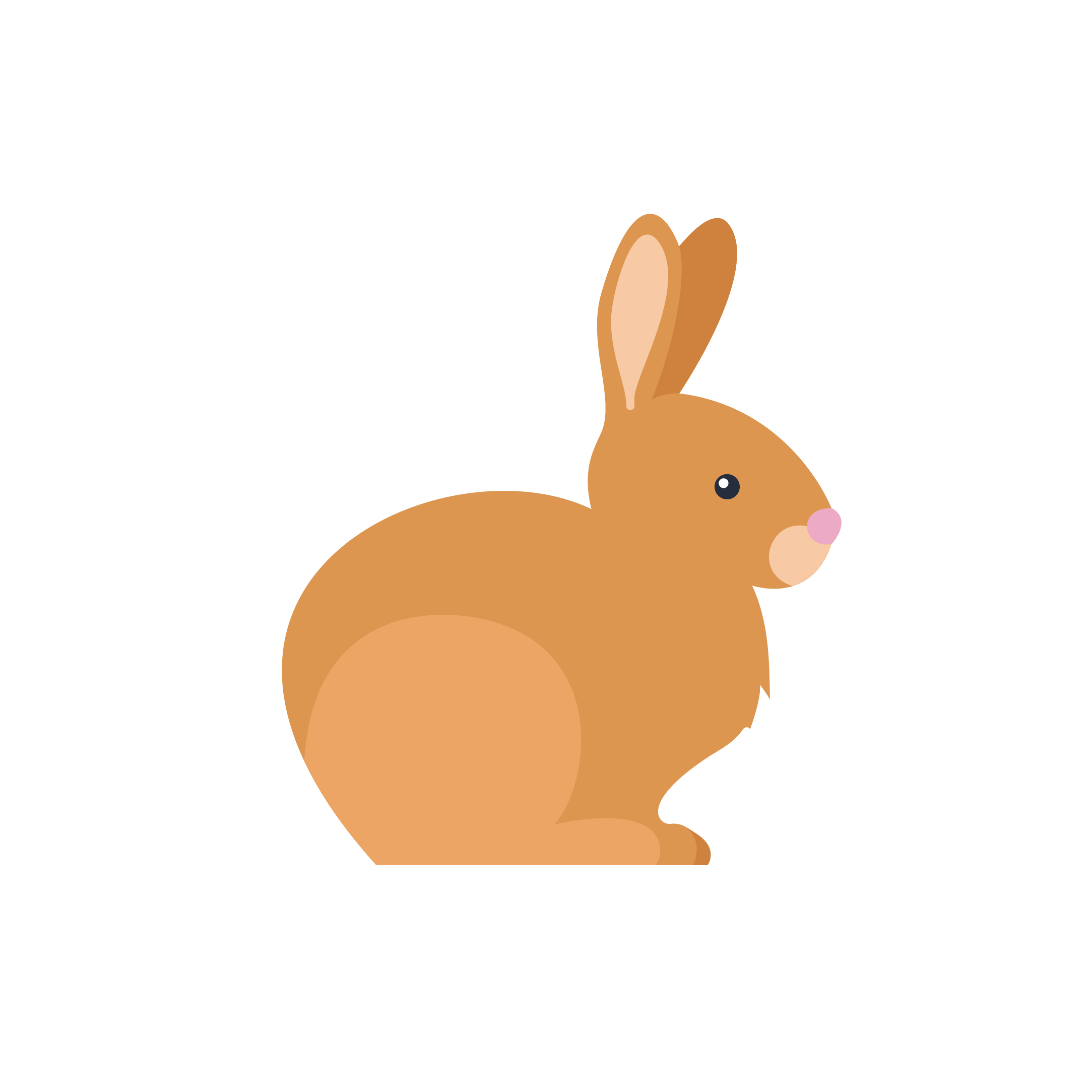 Rabbit Class