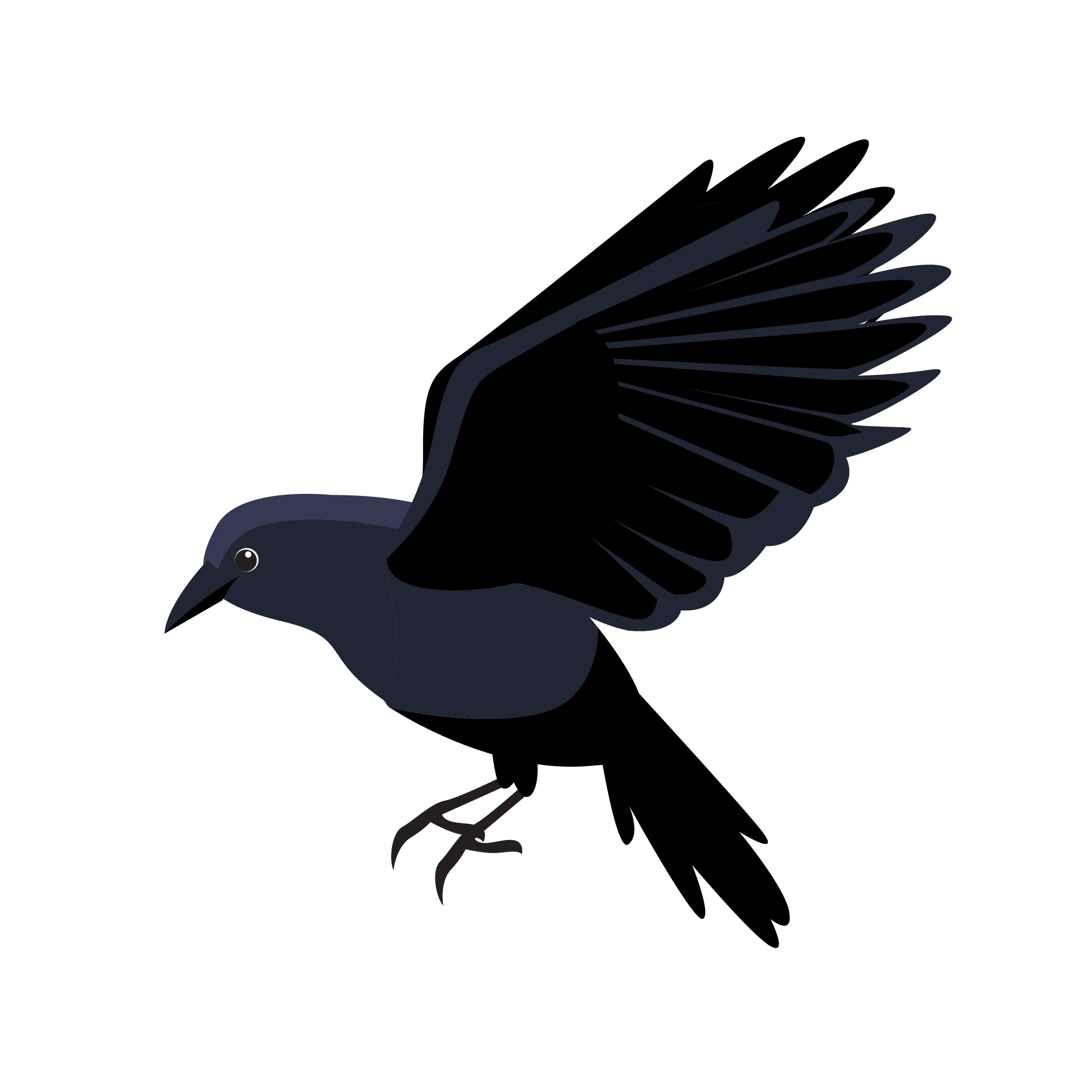 Raven Class